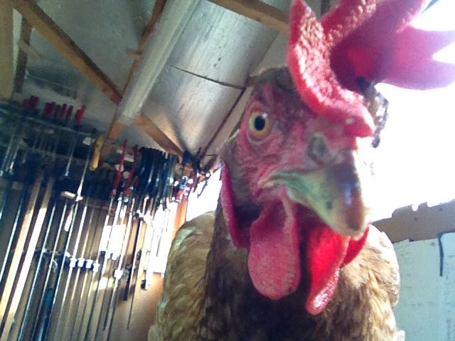 46752657_2218410005084365_7005149826518089728_n